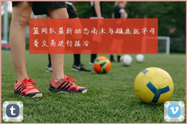 篮网队最新动态尚未与雄鹿就字母哥交易进行接洽