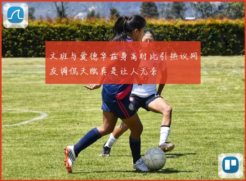 文班与爱德华兹身高对比引热议网友调侃天赋真是让人无奈